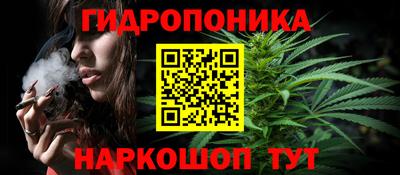 соль ск Камень-на-Оби