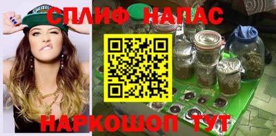 соль ск Камень-на-Оби