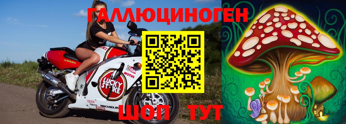 Псилоцибиновые грибы MAGIC MUSHROOMS  Вход с VPN  Мичуринск 