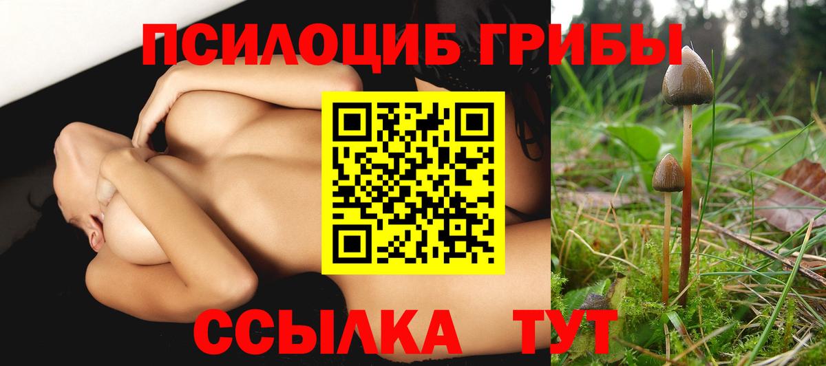 Псилоцибиновые грибы ЛСД Мичуринск
